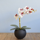 Arranjo De Orquídea Tigre De Silicone No Vaso Preto | Formosi